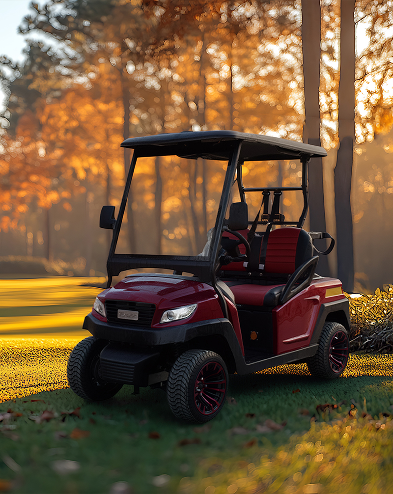 Bibuggy | Bodrum Golf Araçları