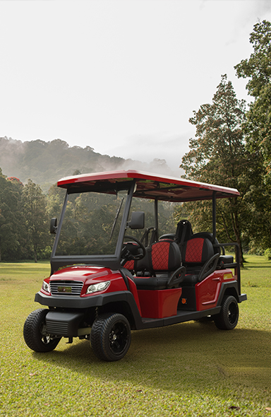 Bibuggy | Bodrum Golf Araçları